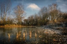 Freezing Pond / ***