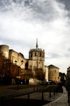 Amboise Castle. / ***