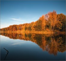 / Red tail autumn .. / / ***