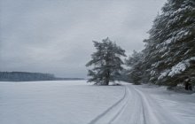 Winter Landscape / ***