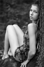 Under the canopy of the forest / .....