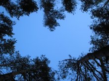 Nature reciprocate :-) / ***