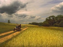 Country road / ***