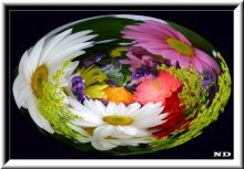 bouquet / ***