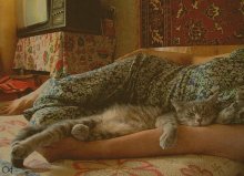 This is my personal grandmother - hands off! / ***