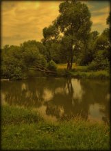 A drinking tree / ***