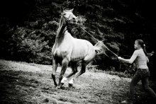 In the children's hands ... / ***