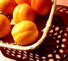 apricots / ***