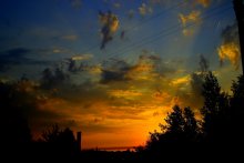 Dawn, entangled in wires / ***