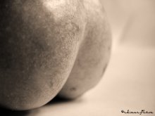 apple erotic / ***