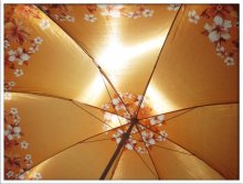 Umbrella for the sun / ***