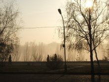 Wall golden mist / ***