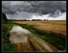 Country road / ***