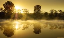 in the misty gold of sunrise ... / ***