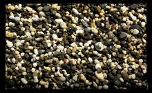 one among many / ***