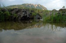On the banks of the Katun. / ***