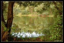 In a fairy tale ... / ***