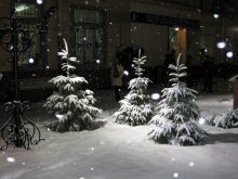 Winter evening in Minsk / ***