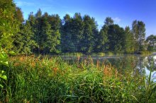 Summer Morning / ***