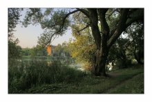 In the shade of old trees / ***