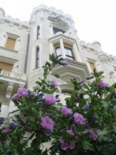 Czech Republic / ***