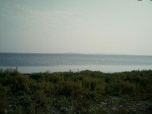 coast / ***