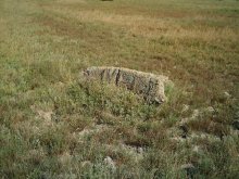 stone / ***
