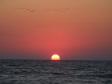 Awakening / ***