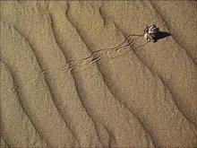 Time in a way / ***