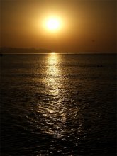 Sunrise / ***