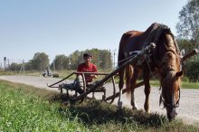 Prepare sleighs in summer / ***