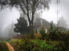 Cottage in the mist / ***