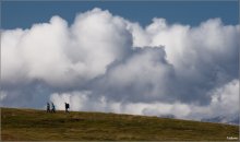 On the road with clouds / ***