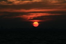 Fire setting sun hardly warms the sea wave / ***