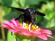 ready for takeoff / ***