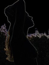 2 / ***