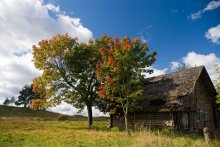 Autumn, barn / ***