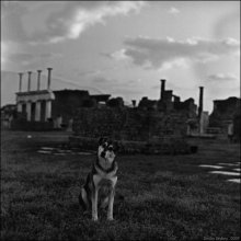 Rex and Pompeii / ***