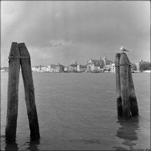 everyone sees her / ***