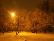 Fabulous winter / ***