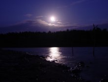 The way the moonlight / ***