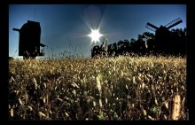 Low sun / ***
