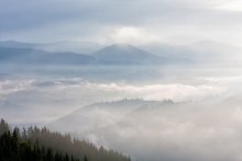 Carpathians, fog ... / ***