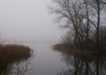 Misty the November / ,,,,,,,,,,