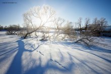 Frost and sun ... / ***