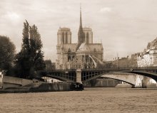 Notre Dame / ***