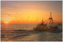 Fishermen in the sunset. / Schrimp fishermen in the evening light.