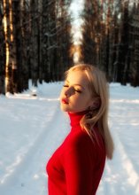 Winter day in the park / ***