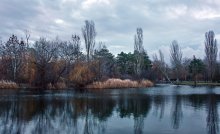 Pond. / ***