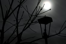 Streets of Broken Lamps Kingdom of the full moon. / ***